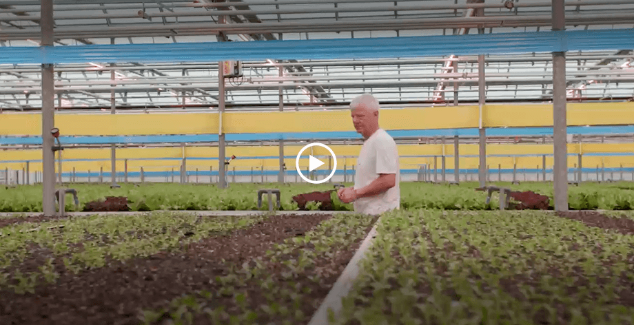 Thumbnail for the Greenbelt Greenhouse Ltd YouTube video