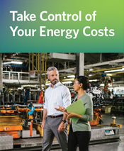 Take Control of Your Energy Costs cover
