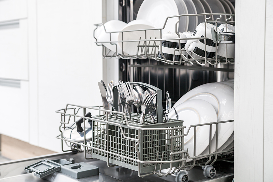 Dishwasher Quiz Save on Energy
