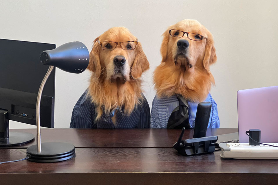 Sterling and Newton profile pic