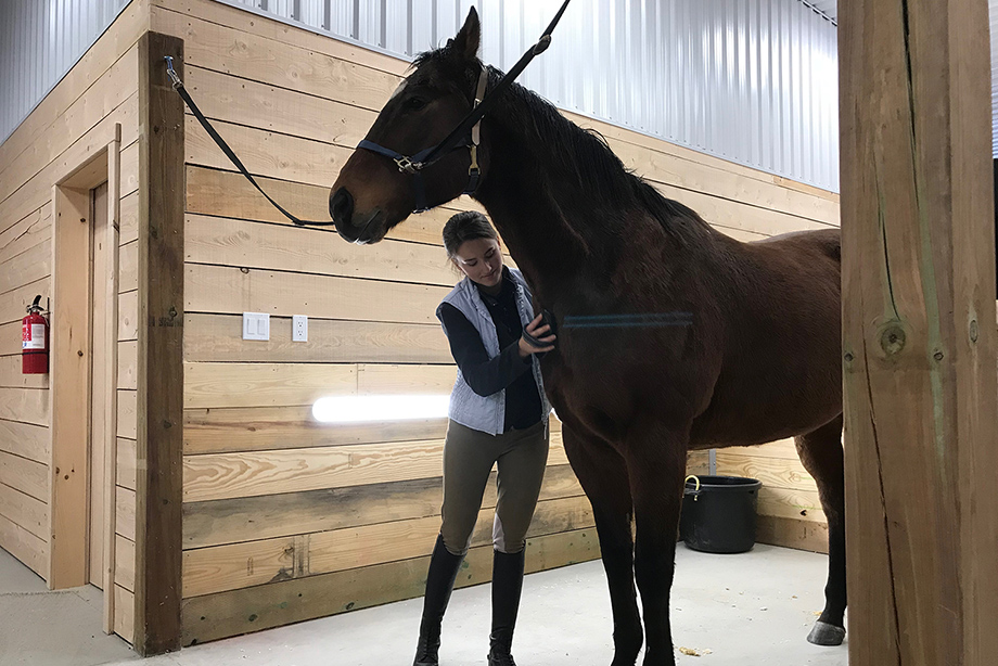 Energy Retrofits Revamped This Horse Barn Save On Energy Case Study